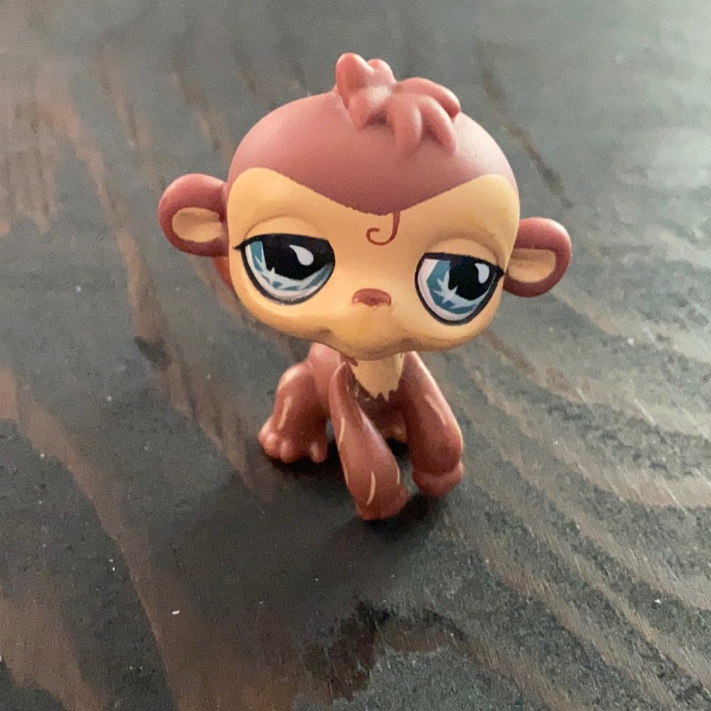 littlest pet shop money #485